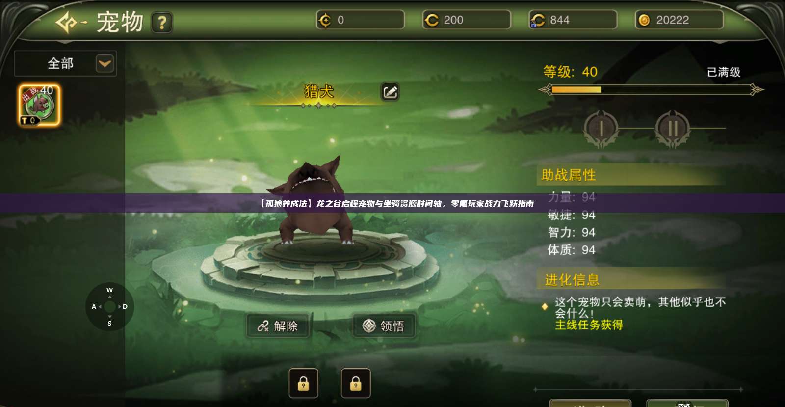 【孤狼养成法】龙之谷启程宠物与坐骑资源时间轴，零氪玩家战力飞跃指南 第1张