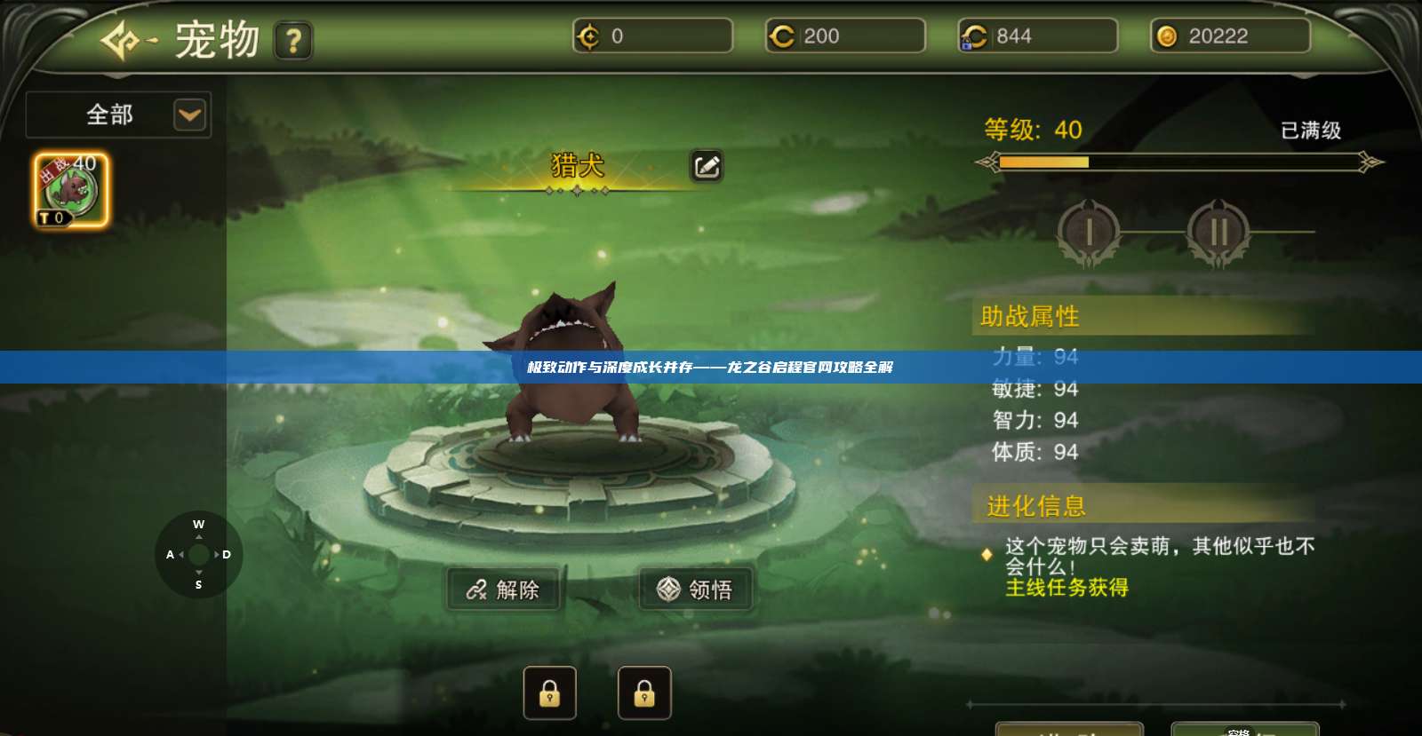 极致动作与深度成长并存——龙之谷启程官网攻略全解 第1张